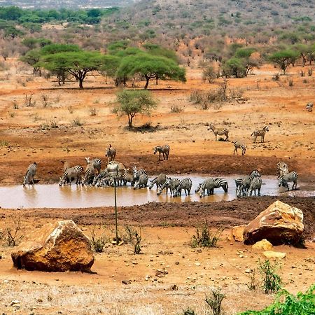 Kilaguni Serena Safari Lodge Tsavo Exteriör bild