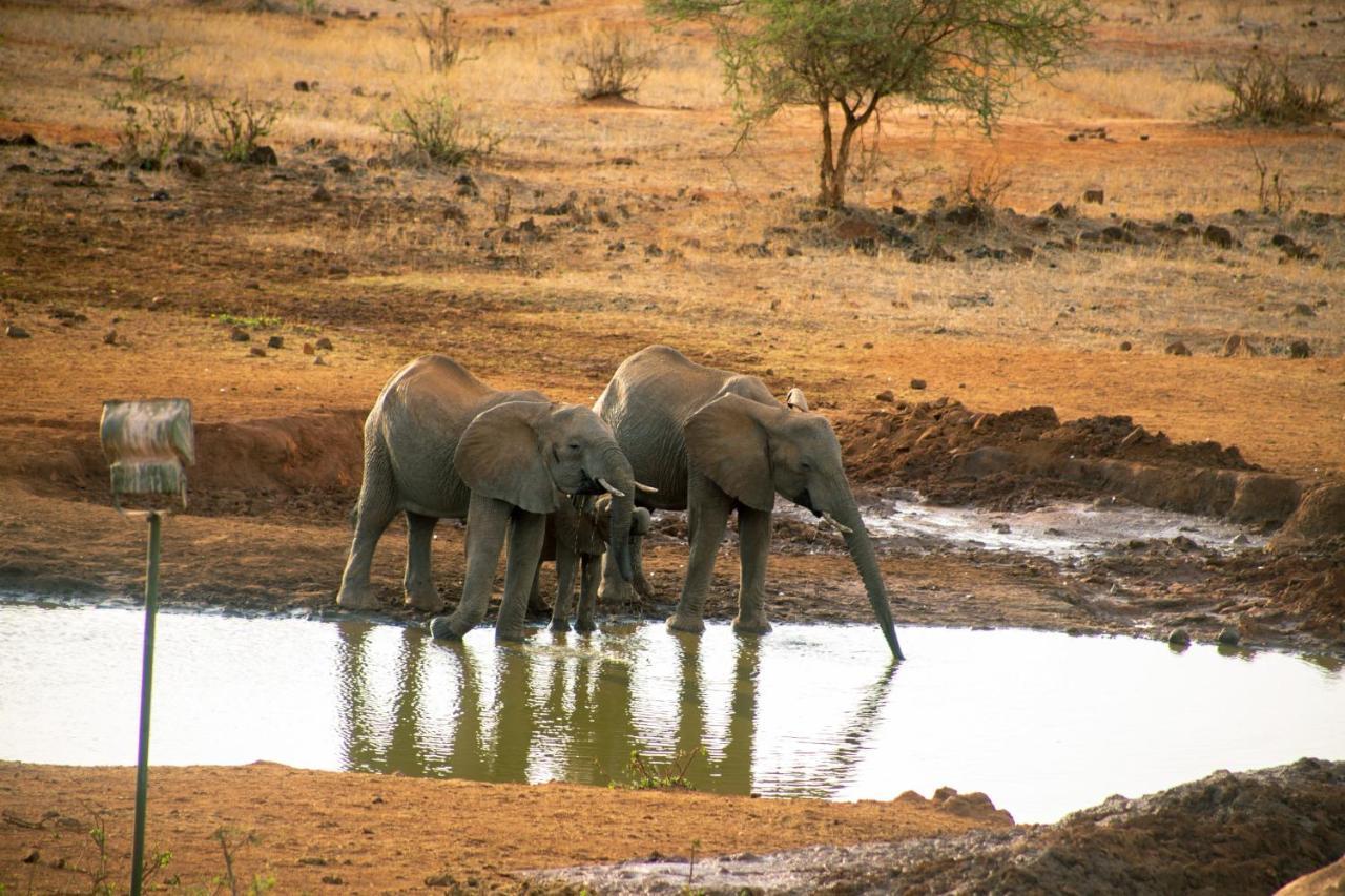 Kilaguni Serena Safari Lodge Tsavo Exteriör bild