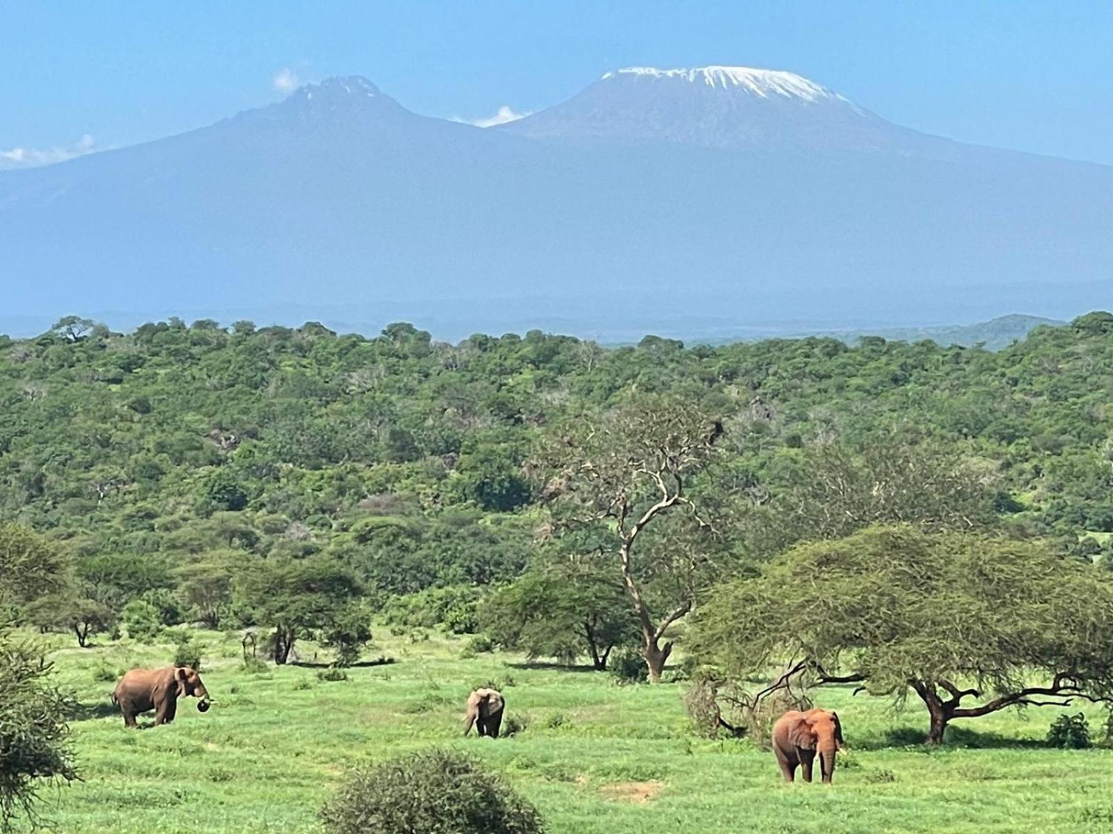 Kilaguni Serena Safari Lodge Tsavo Exteriör bild