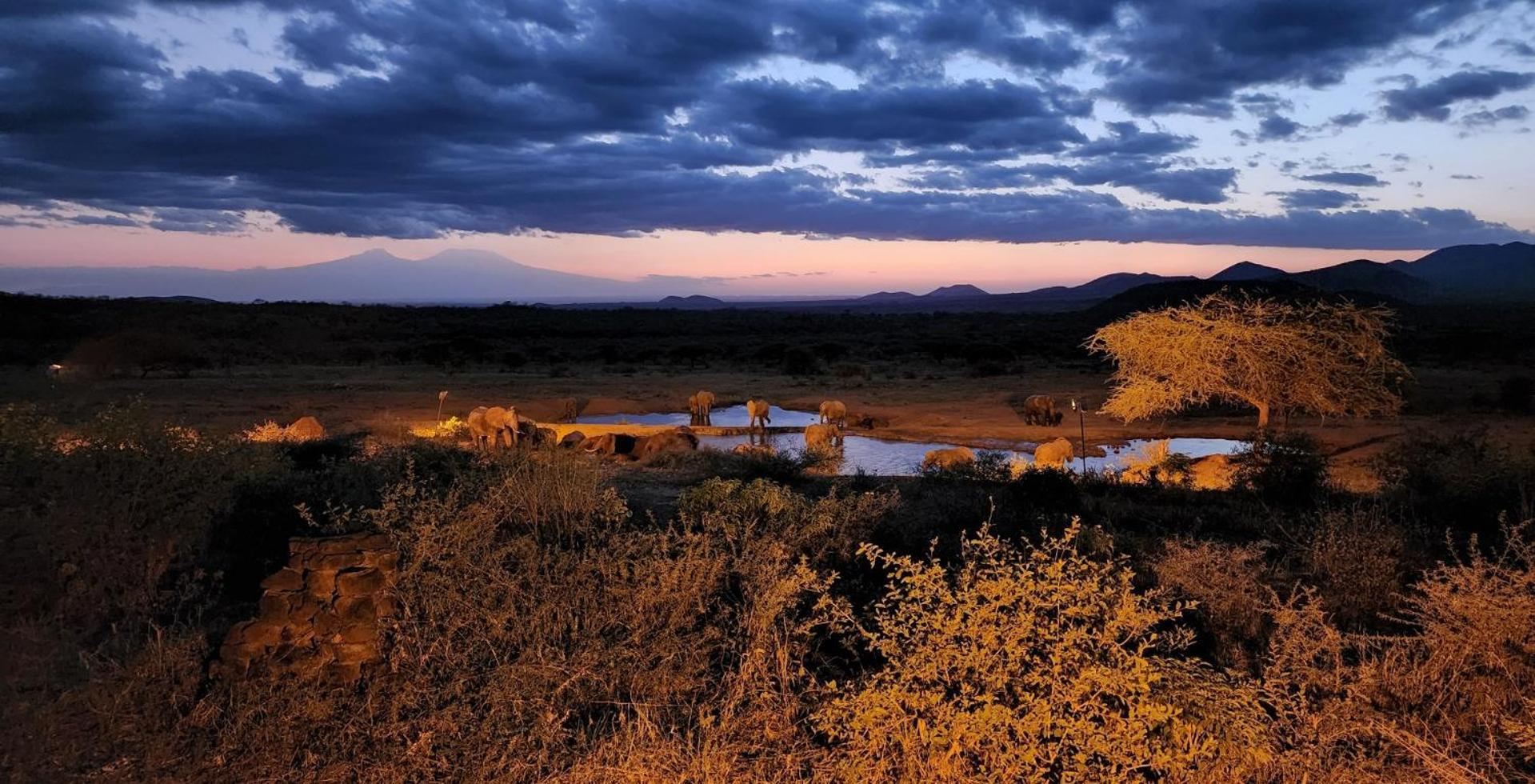 Kilaguni Serena Safari Lodge Tsavo Exteriör bild