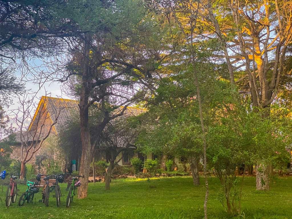 Kilaguni Serena Safari Lodge Tsavo Bekvämligheter bild